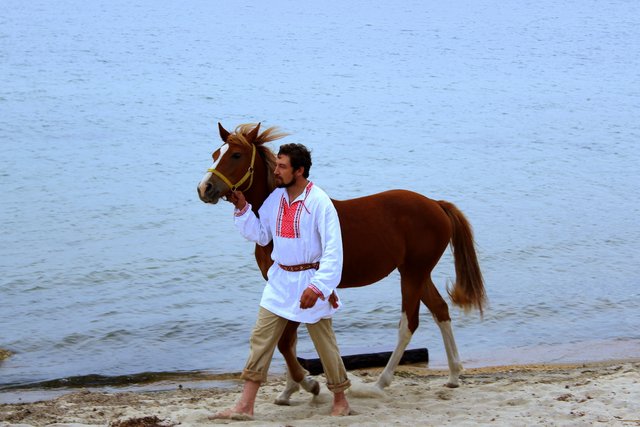 Конь на берегу Байкала