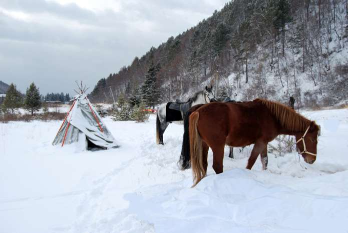 Конные туры на Байкал зимой.
