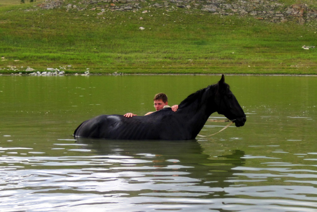Плавающая лошадь