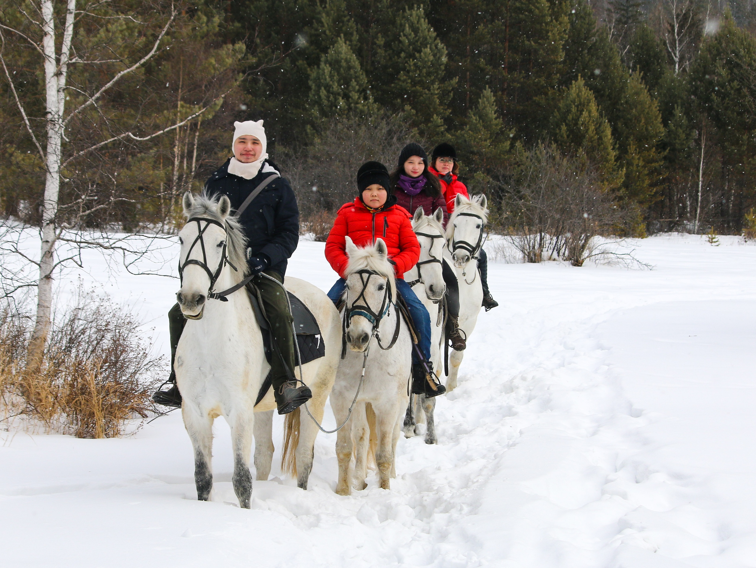 Гости из Монголии на конной прогулке