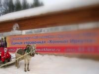 Конный сани в Иркутске