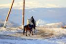Вот так мы встречали новый год лошади на Байкале